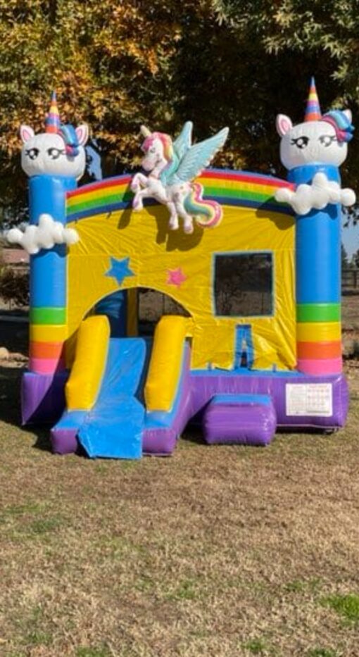 Rainbow Unicorn Bouncer